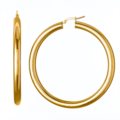 Polished earrings