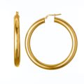 Polished earrings