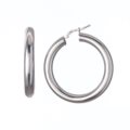 Polished earrings