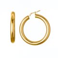 Polished earrings
