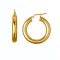 Polished earrings