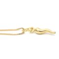Lucky horn with chain