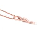 Lucky horn with chain