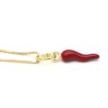 Enameled lucky horn with chain
