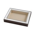 Coin tray licia
