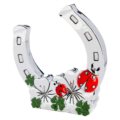 Lucky horseshoe