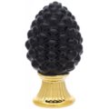 Pine cone with golden base