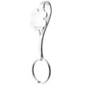 Keychain with purse hook