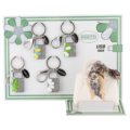 Keychains padlock with usb memory