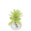 Home perfumer dahlia