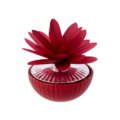 Home perfumer dahlia