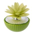 Home perfumer dahlia