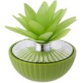 Home perfumer dahlia