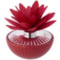 Home perfumer dahlia