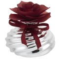 Home perfumer rose