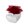Home perfumer rose