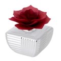 Home perfumer rose