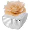 Home perfumer rose