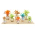 Home perfumers dahlia