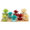 Home perfumers dahlia