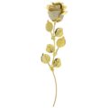 Steel rose