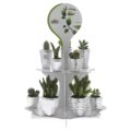 Stripes vases