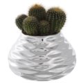 Onion vase holder