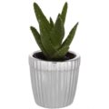 Stripes vase