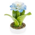 Ceramic camellia