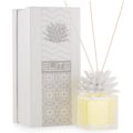 Perfumer sea urchin white