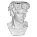 Bust david