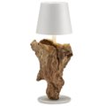 Table lamp wild