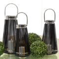 Lantern shine