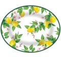 Oval serving plate jaffa