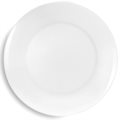Dinner plate ibis