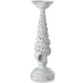 Candlestick coralia
