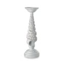 Candlestick coralia