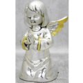 Female angel