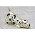 Dalmatian