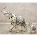 Asian elephant