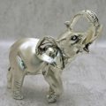 Elephant with tusks