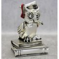 Graduation owl