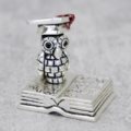 Graduation owl
