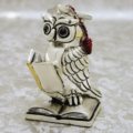 Graduation owl