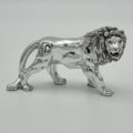 Small lion