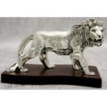 Small lion