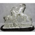 Horses fight