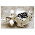 Pomegranate with leaf