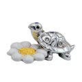 Turtle with daisy