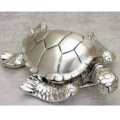 Sea turtle
